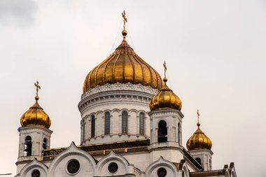 Katedral Mesih'in savior, Moskova