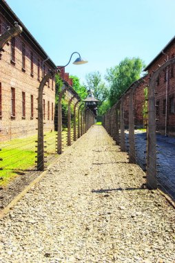 auschwitz toplama kampı