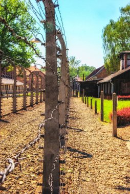 Auschwitz toplama kampı