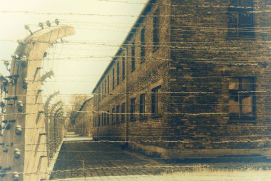 Auschwitz toplama kampı