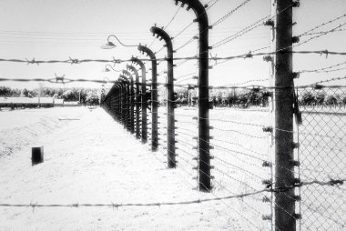 Auschwitz toplama kampı