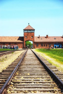 Auschwitz-birkenau kampı