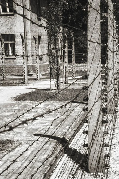 Auschwitzi koncentrációs tábor — Stock Fotó