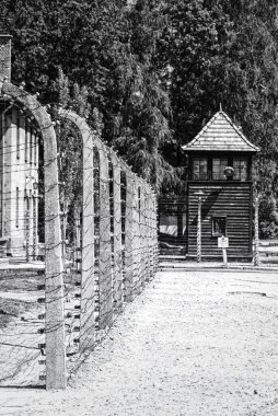 Polonya 'nın Oswiecim kentindeki Auschwitz Birkenau Toplama Kampı 