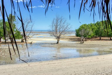 Antsanitia, Madagaskar plajı.
