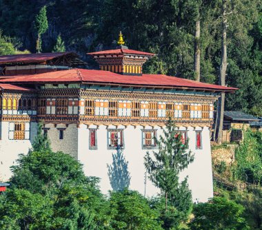 Paro Dzong 1644 yılında başlatıldı ama 1906 'da neredeyse yangın tarafından yok edildi. Mücevher Tepesi Kalesi anlamına gelen Rinpung Dzong olarak da bilinir. Dzonglar, hem sivil yönetim merkezi hem de canavar görevi gören kale manastırlarıdır.