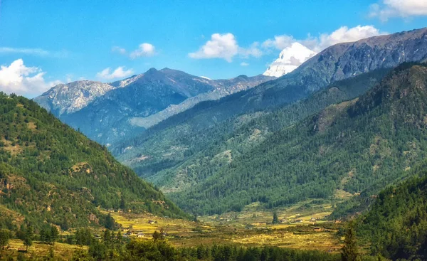 Valle Bután Cerca Punakha Con Campos Arroz Casas Típicas Viaja — Foto de Stock