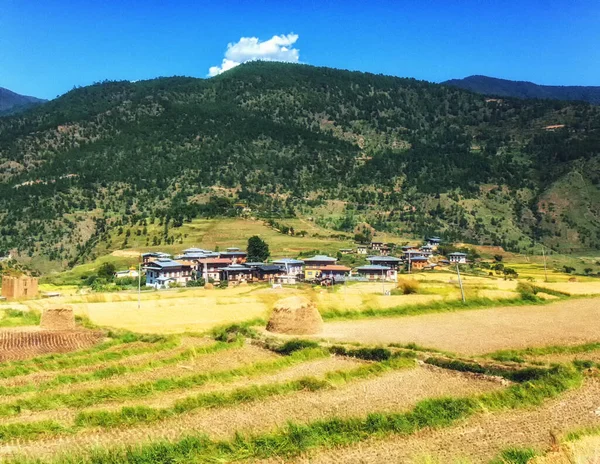 不丹稻田Paro Dzong俯瞰Paro Valley的观点 — 图库照片