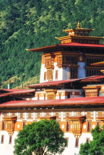 Punakha Dzong Más Néven Pungtang Dechen Photrang Dzong Azt Jelenti — Stock Fotó