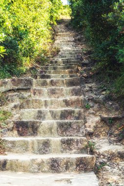 Shek O kırsalındaki Dragon 's Back yürüyüş parkında bir merdiven, Hong Kong.