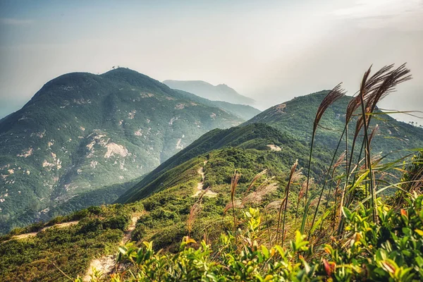 Dragon Back Mountain Trail Best Urban Hiking Trail Hong Kong — 스톡 사진