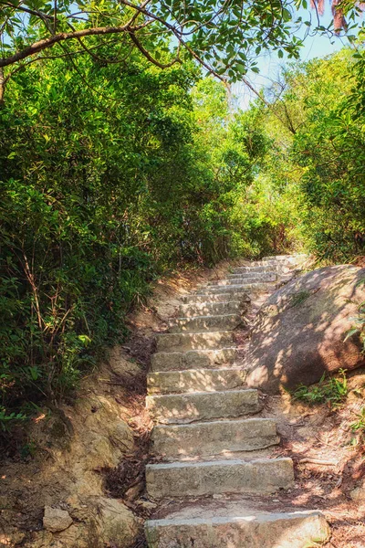 Una Escalera Pista Senderismo Dragon Back Shek Countrypark Hong Kong — Foto de Stock
