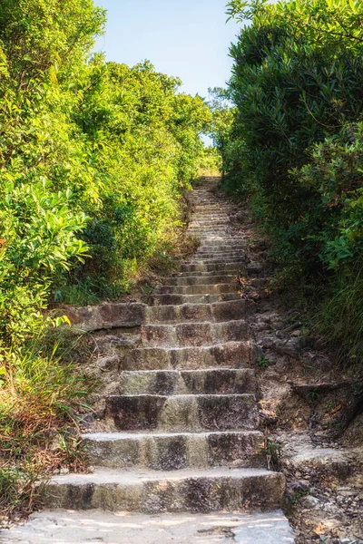 Una Escalera Pista Senderismo Dragon Back Shek Countrypark Hong Kong — Foto de Stock