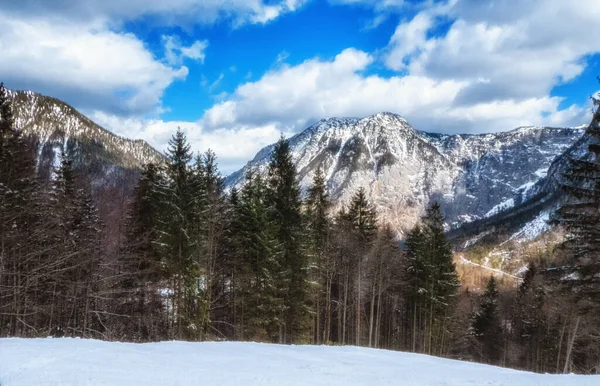 Het Bergplateau Van Dachstein Krippenstein Beste Plek Voor Sneeuwschoenwandelingen Skiën — Stockfoto