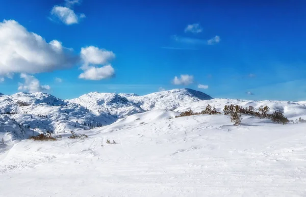 Sito Dachstein Krippenstein Vero Paradiso Gli Sport Invernali Vanta Molte — Foto Stock