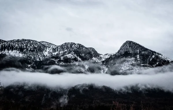 Puncak Gunung Abstrak Hitam Dan Putih — Stok Foto
