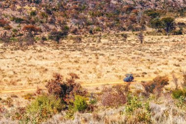 Entabeni oyun rezervi, welgevonden Waterberg limpopo vilayeti, Güney Afrika
