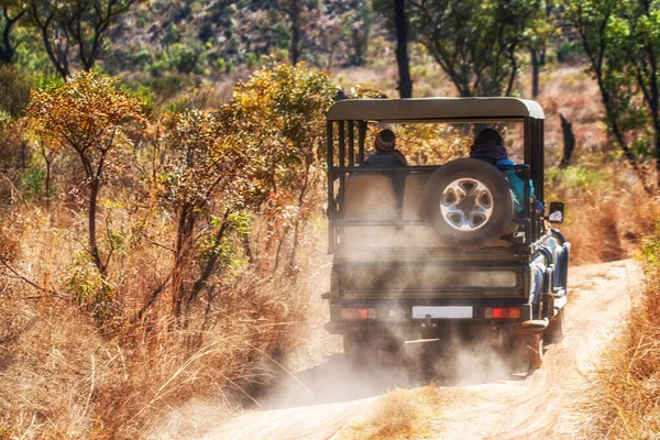 Game drive at entabeni game reserve, welgevonden waterberg limpopo province,  South Africa