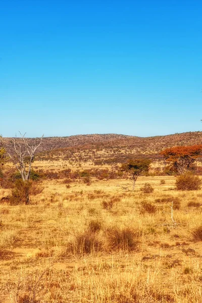 Typowy Krajobraz Przyrody Republice Południowej Afryki — Zdjęcie stockowe