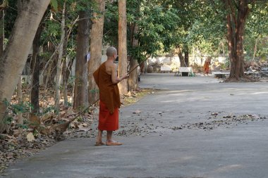 Tayland tapınağında düşen yaprakları temizleyen keşiş