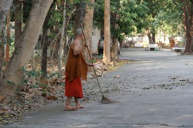 Tayland tapınağında düşen yaprakları temizleyen keşiş
