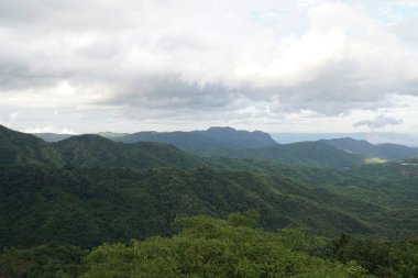 bulutlu bir günde tropik ormanın manzaralı görüntüsü