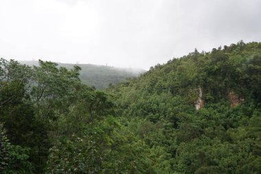 Bulutlu bir günde güzel yağmur ormanlarının manzarası.
