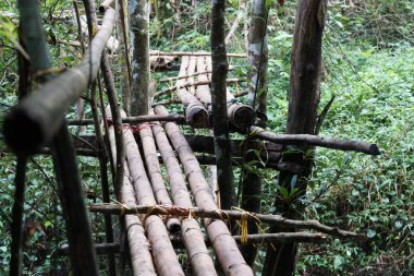 Yağmur ormanlarındaki bambu köprüsünün manzaralı görüntüsü
