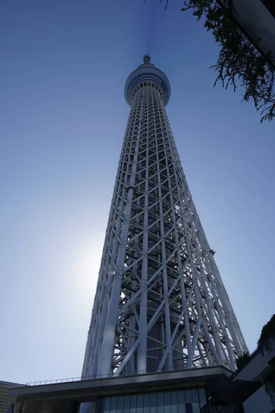 Vue Bas Tokyo Skytree Sous Ciel Bleu — Photo