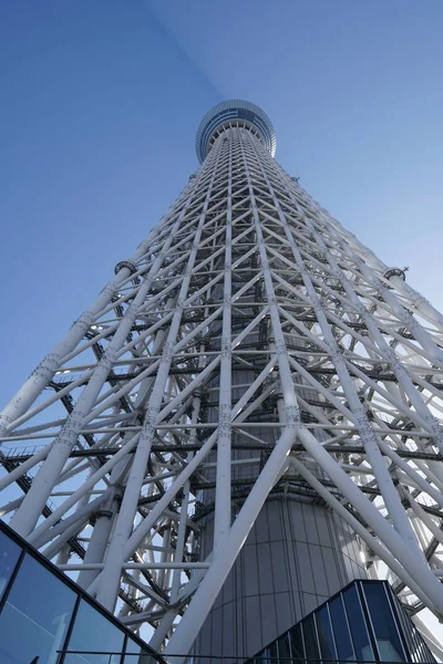 Widok Dołu Strzał Tokio Skytree Pod Błękitnym Niebem — Zdjęcie stockowe