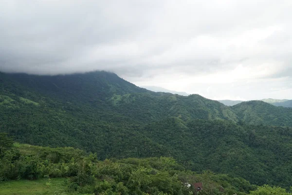 Vue Panoramique Forêt Tropicale Des Montagnes Par Temps Nuageux — Photo