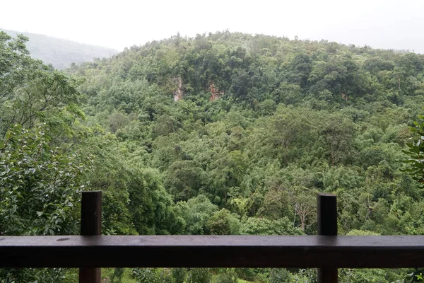 Vue Panoramique Belle Forêt Tropicale Par Temps Nuageux — Photo
