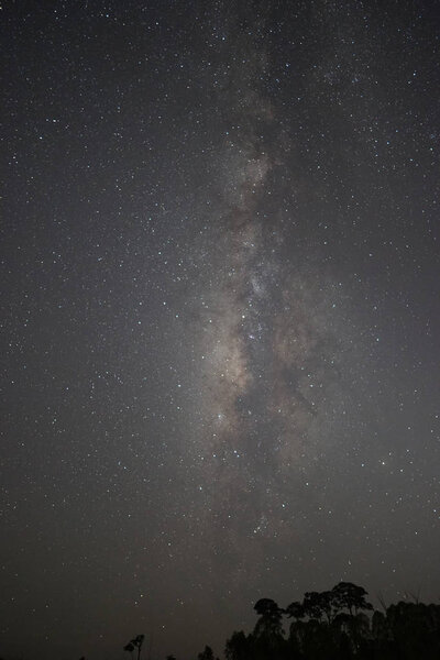 сценический снимок молочного пути в ночном небе

