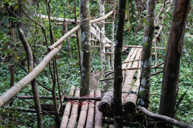 Bambu köprüsünün tropik orman nehri üzerindeki manzaralı görüntüsü.
