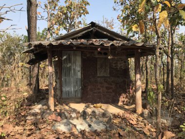 Güneşli bir günde, tropikal ormanda küçük bir kulübe.