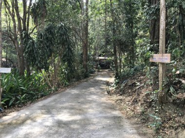 Güneşli bir günde güzel yeşil park manzarası.