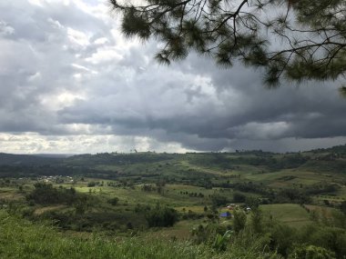 Güzel yağmur ormanlarının manzaralı görüntüsü