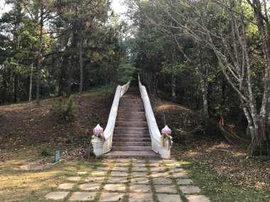 Güzel Buda tapınağının manzaralı görüntüsü. 