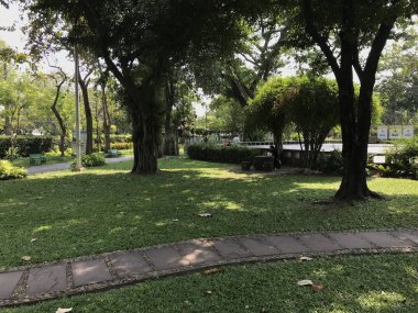 Güneşli bir günde parkın manzaralı görüntüsü.