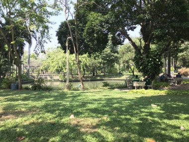 Yeşil Park 'ın güneşli yaz günündeki manzarası.