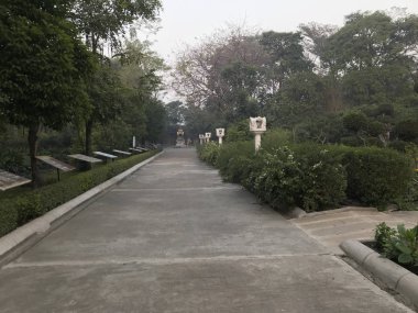 Güneşli bir sabahta güzel boş bir parkın manzarası.