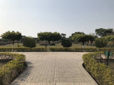 Güneşli bir sabahta güzel boş bir parkın manzarası.