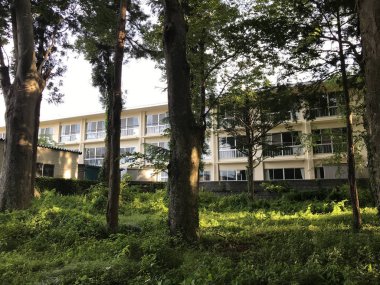 Güneşli bir günde ağaçların altında tatil