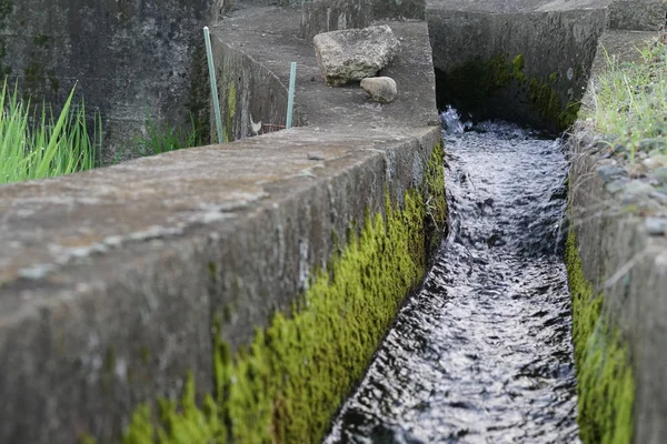 Irrigation Ditch Irrigation Canals Japanese Agricultural Rice Plant Farming — Stock Photo, Image