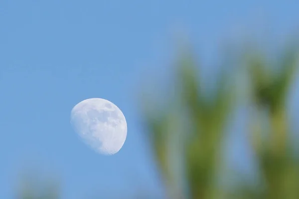 Close Half Moon Daylight Blue Sky Background — Stock Photo, Image