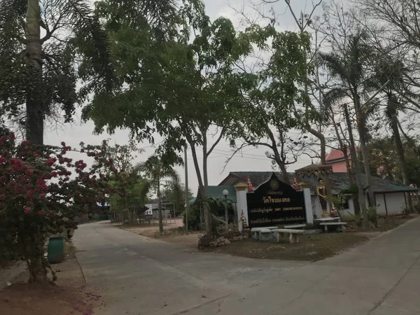 Tiro Cênico Belo Parque Verde Dia Nublado — Fotografia de Stock