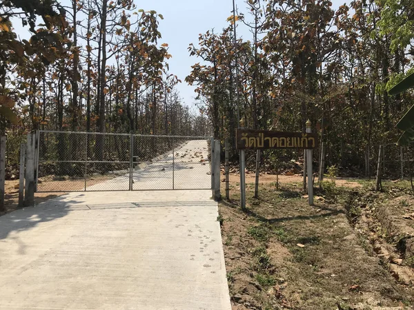 Plano Escénico Hermoso Parque Día Soleado — Foto de Stock