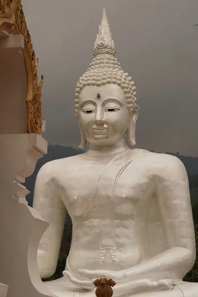 Hermosa Estatua Buda Templo Antiguo Día Nublado —  Fotos de Stock