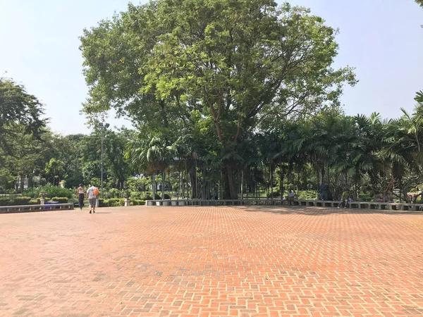 晴れた夏の日に緑の公園の風光明媚なショット — ストック写真