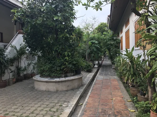 Small Street Houses Cloudy Day — ストック写真